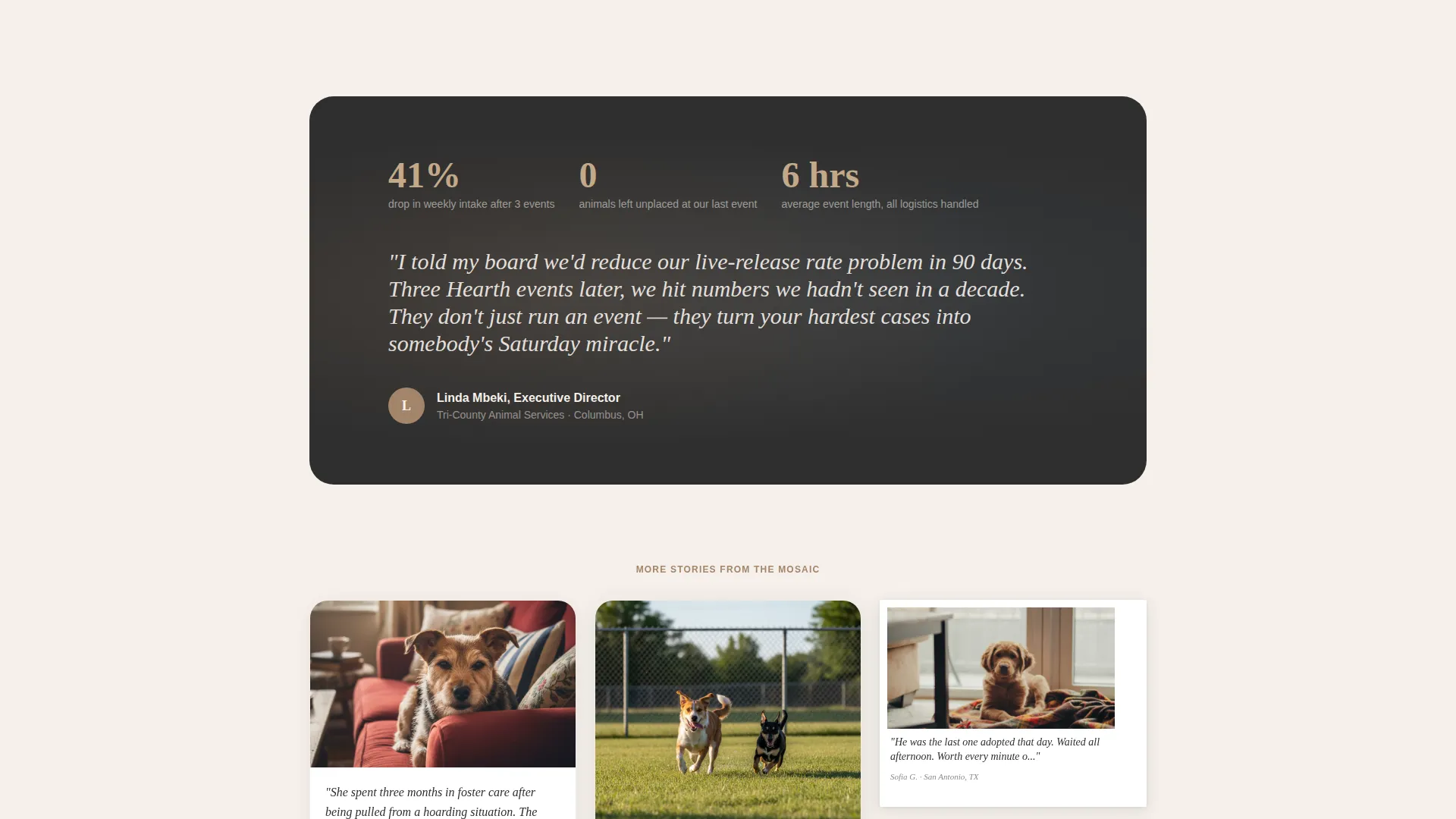 Pet Adoption Event Organizer Landing Page Template