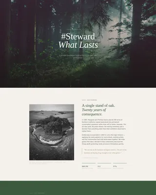 Foundation & NGO Blog & Content Website Template