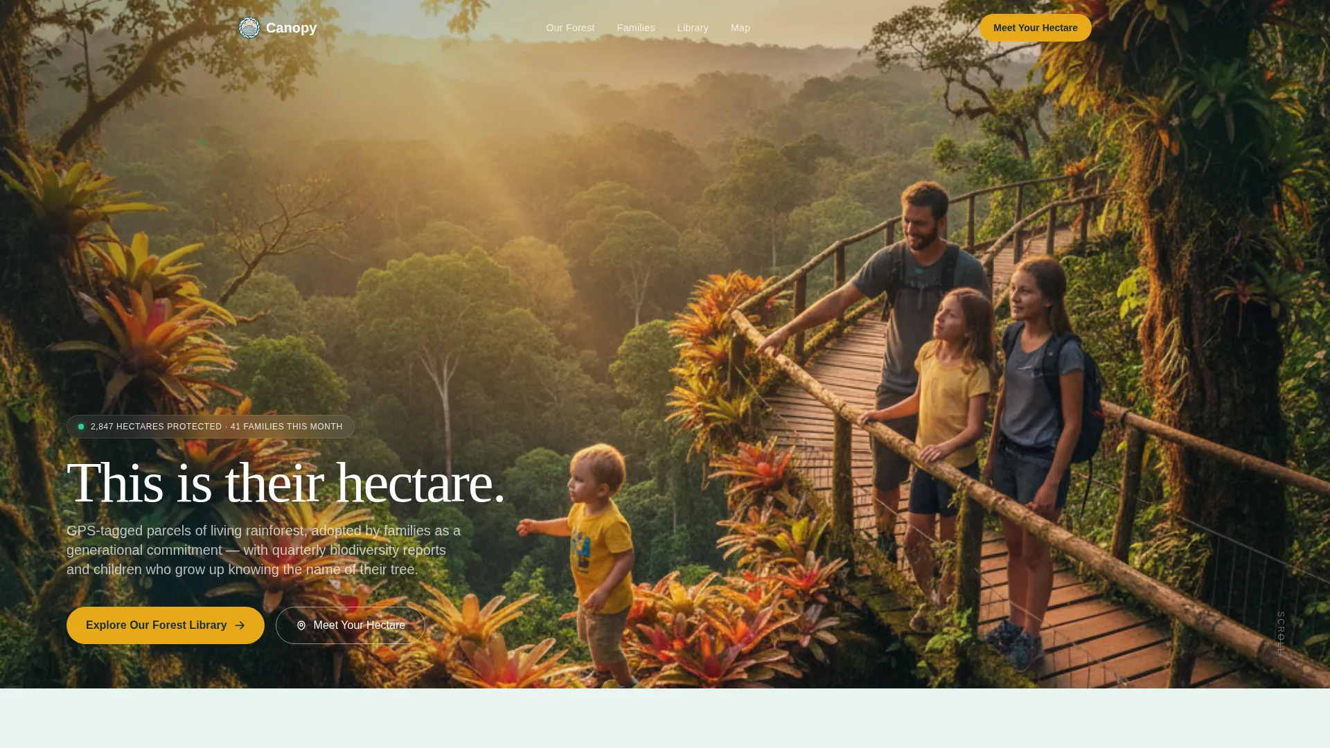 Rainforest Protection Community Foundation Landing Page