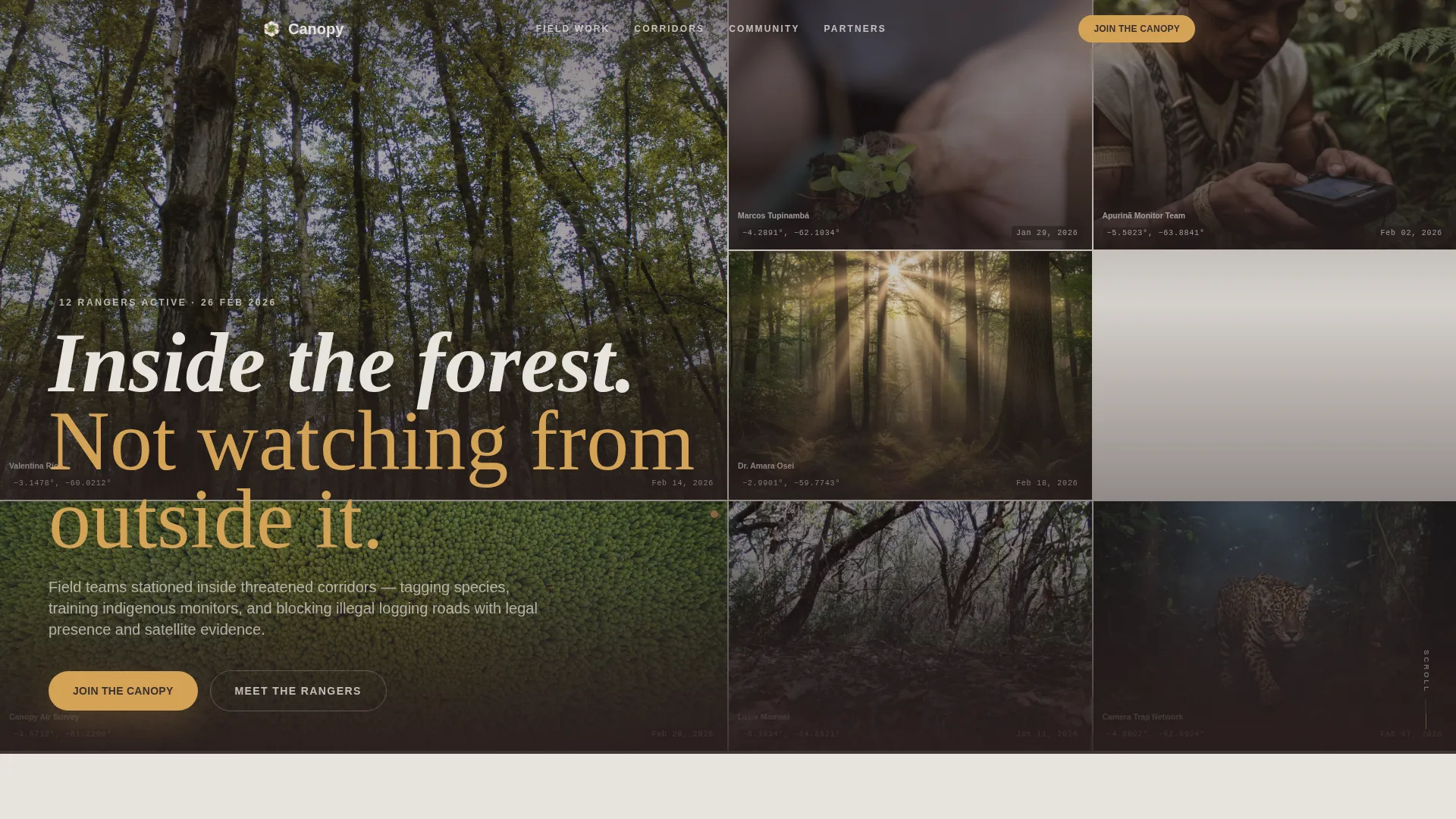 Rainforest Protection Nonprofit Landing Page Template