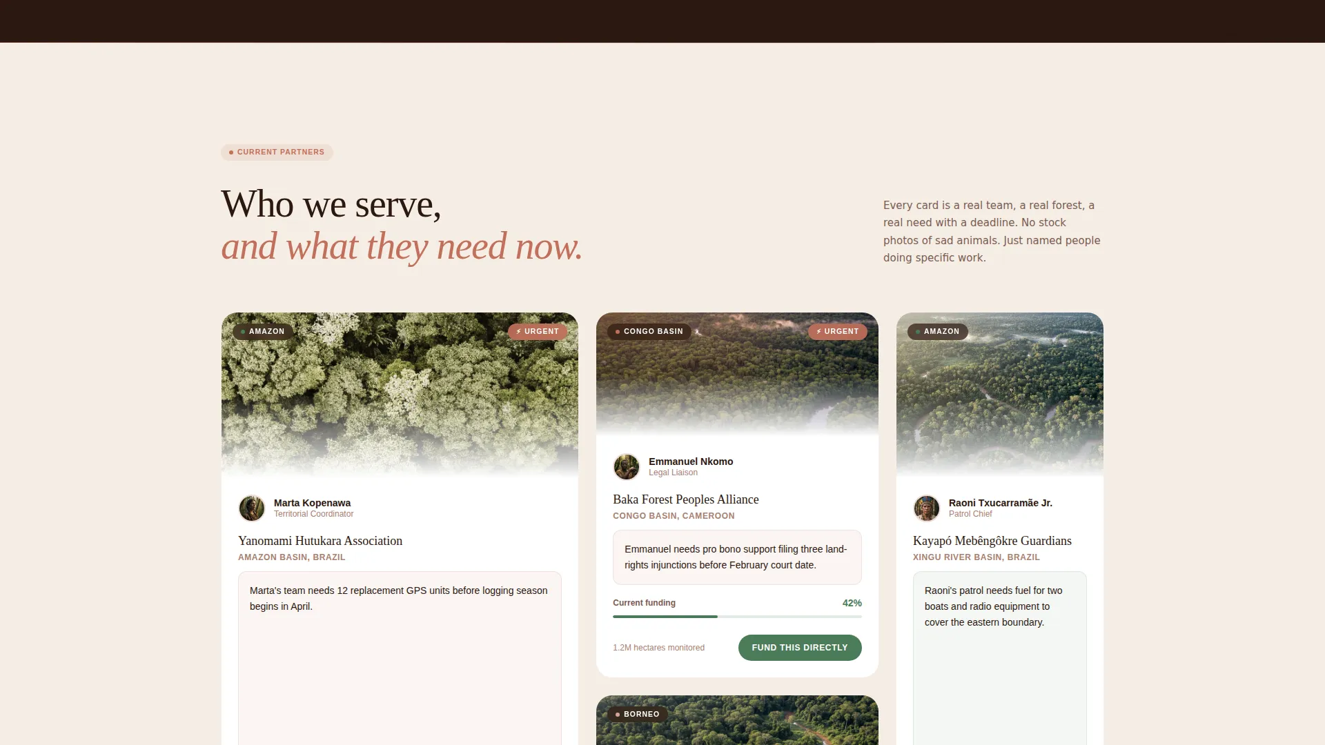 Rainforest Mutual Aid Network Landing Page Template