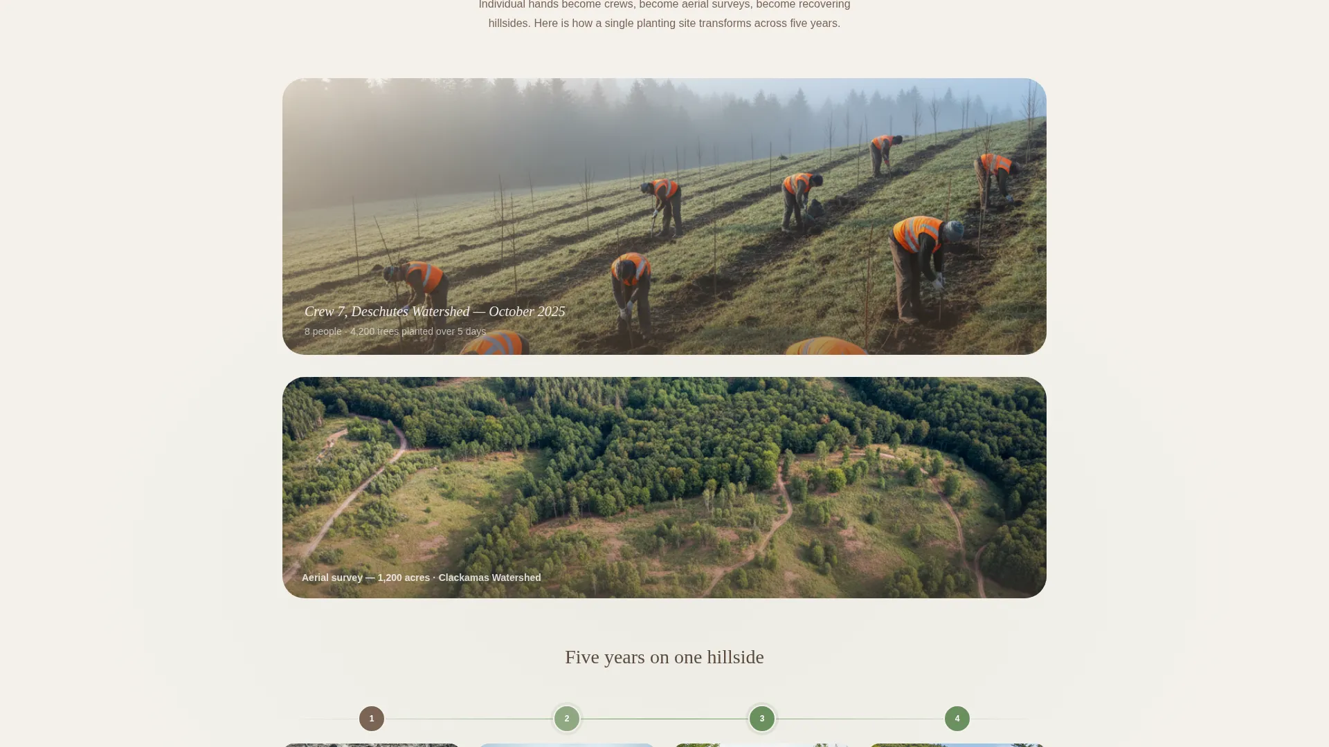 Expert Environmental & Conservation NGO Professional Website Template