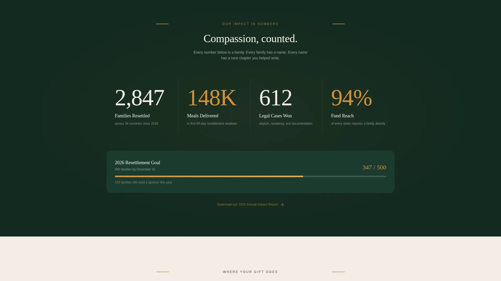 Refugee Fundraising Landing Page Template