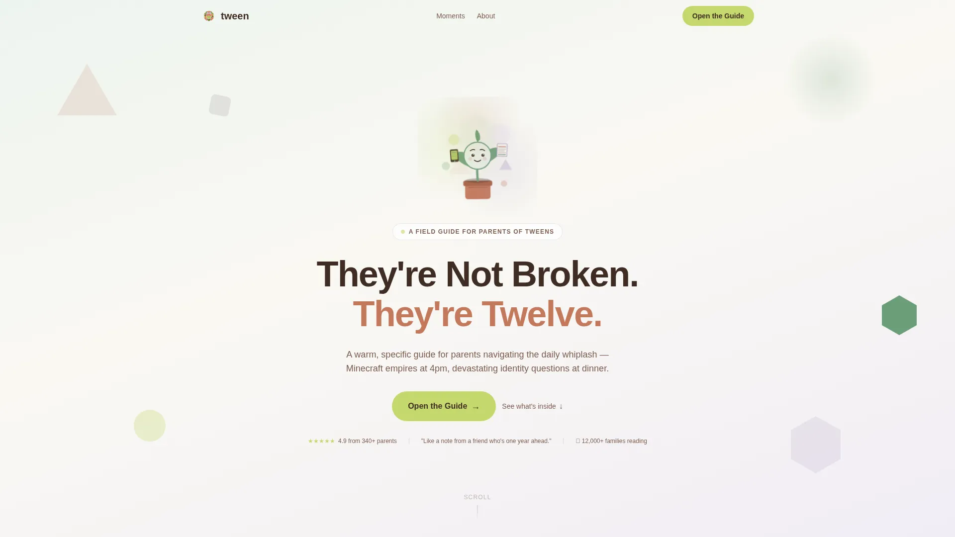 Tween (10-13) Products & Professional Website Template