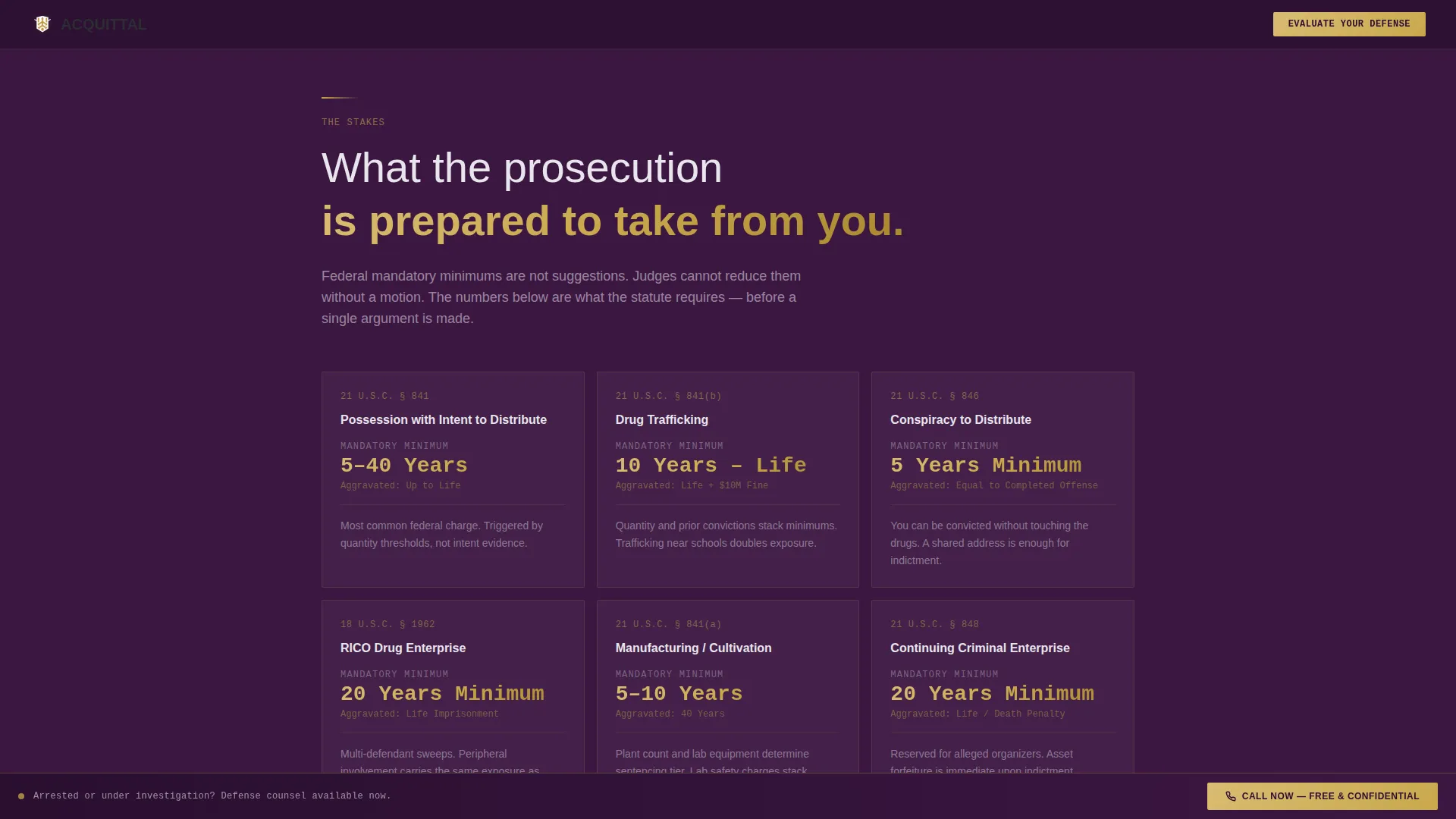 Criminal Defense Professional Website Template