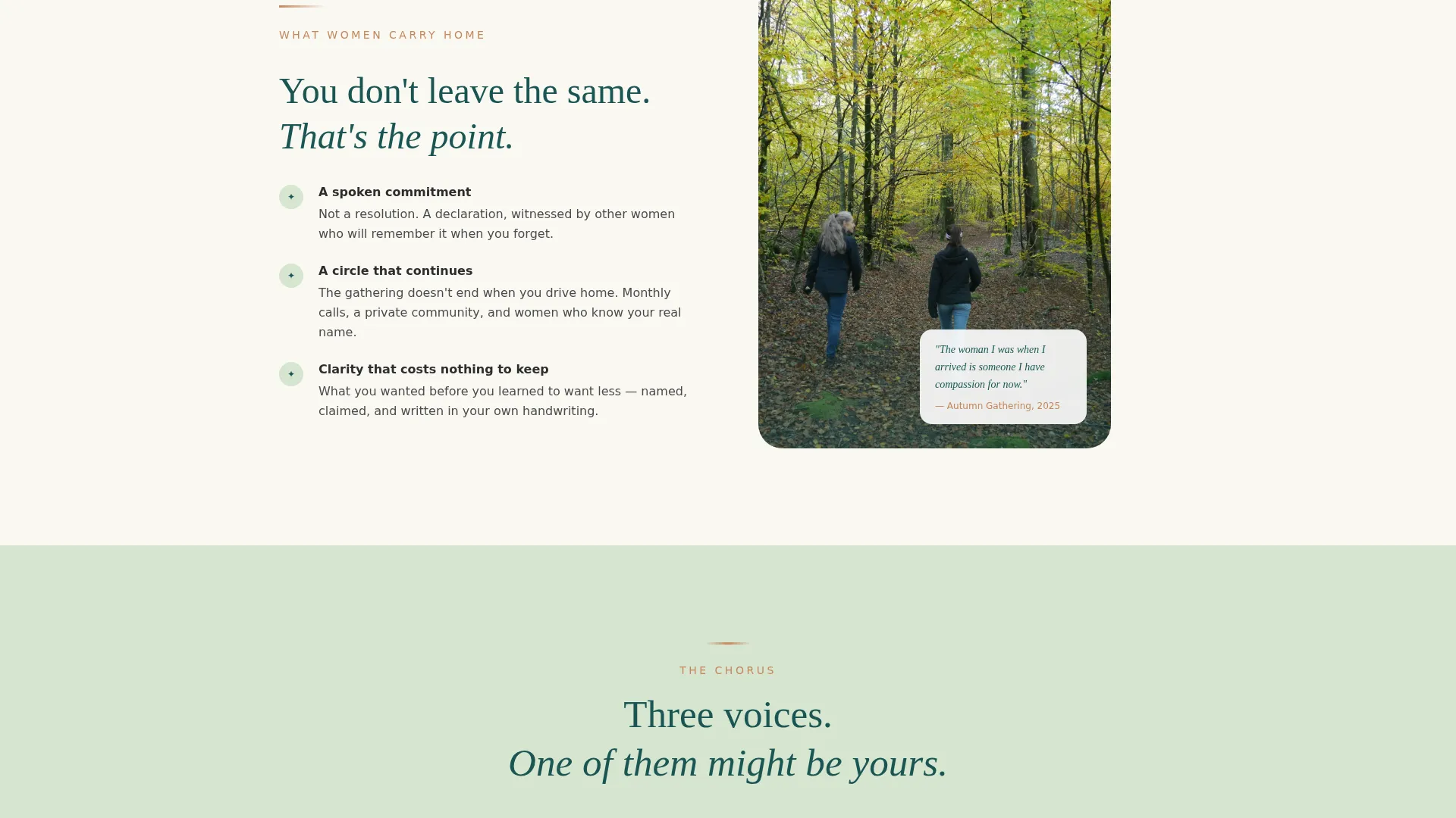 Women's Empowerment Nonprofit Professional Website Template