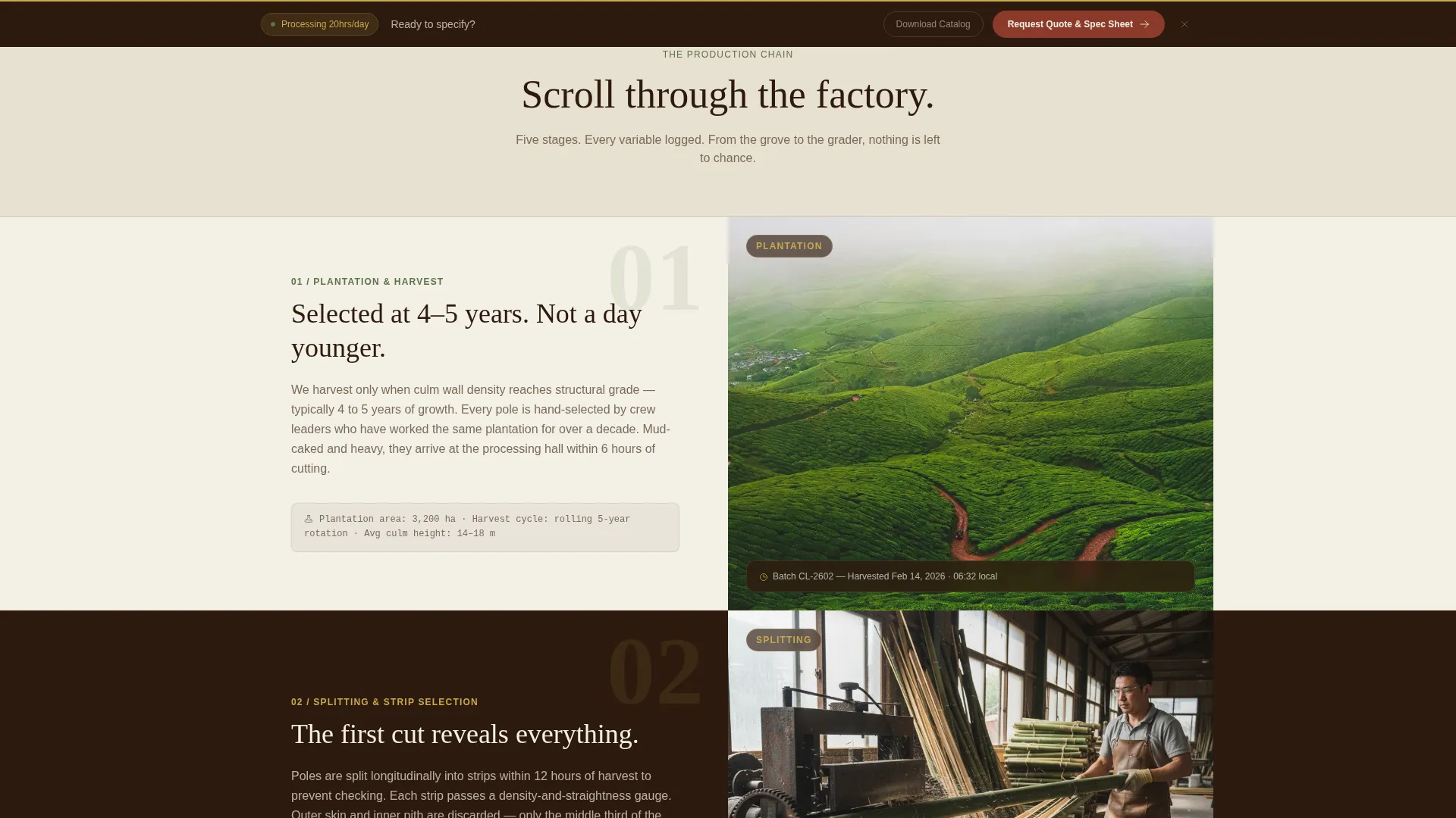 Bamboo Manufacturer Landing Page Template