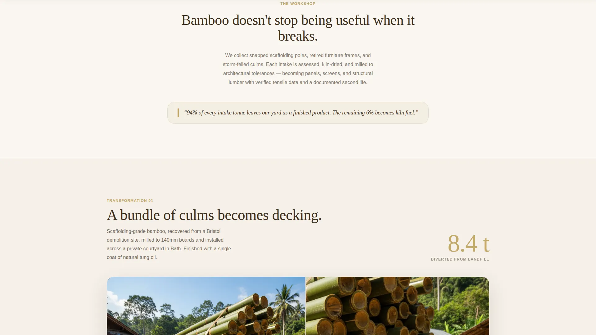 Bamboo Products & Specialist Professional Website Template