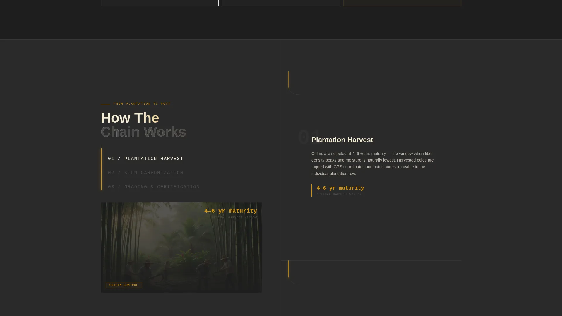 Bamboo Products & Professional Website Template