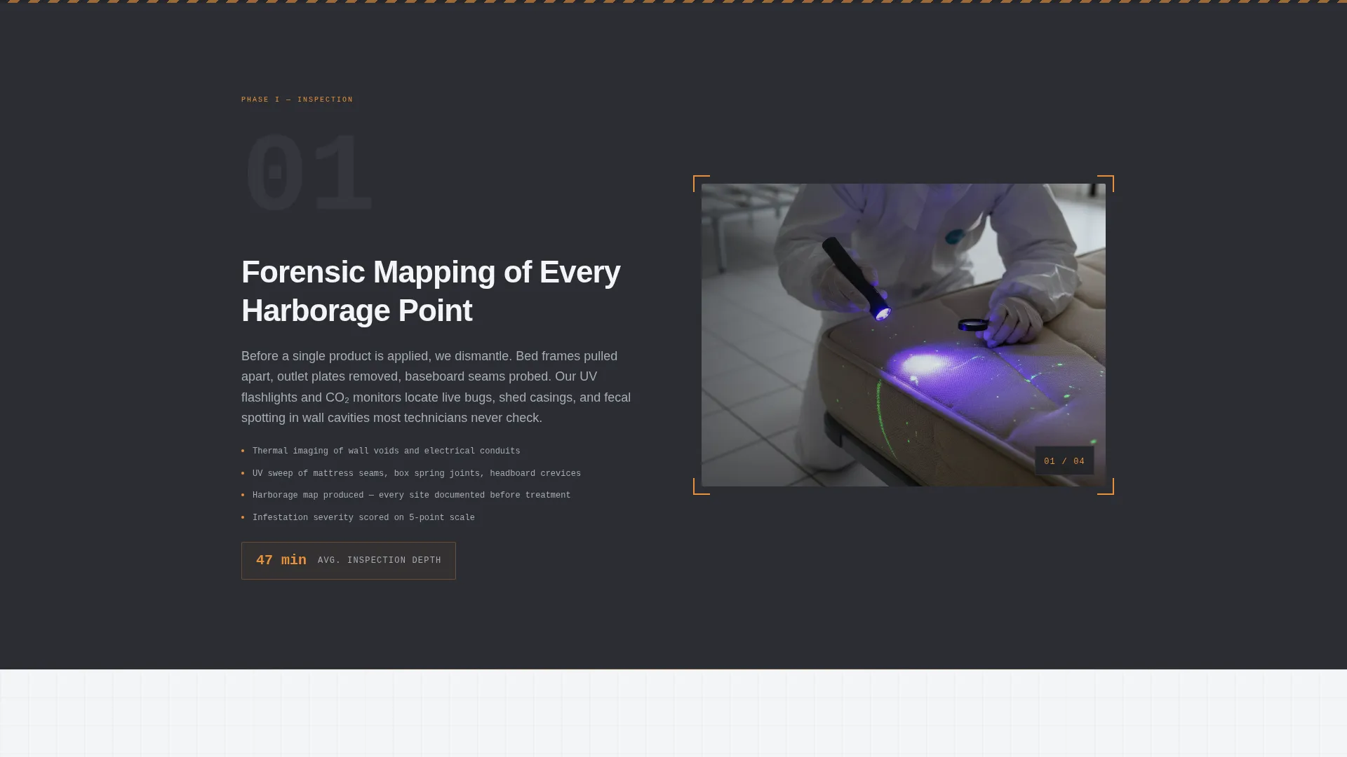 Bed Bug Exterminator Website Template with Inspection Booking
