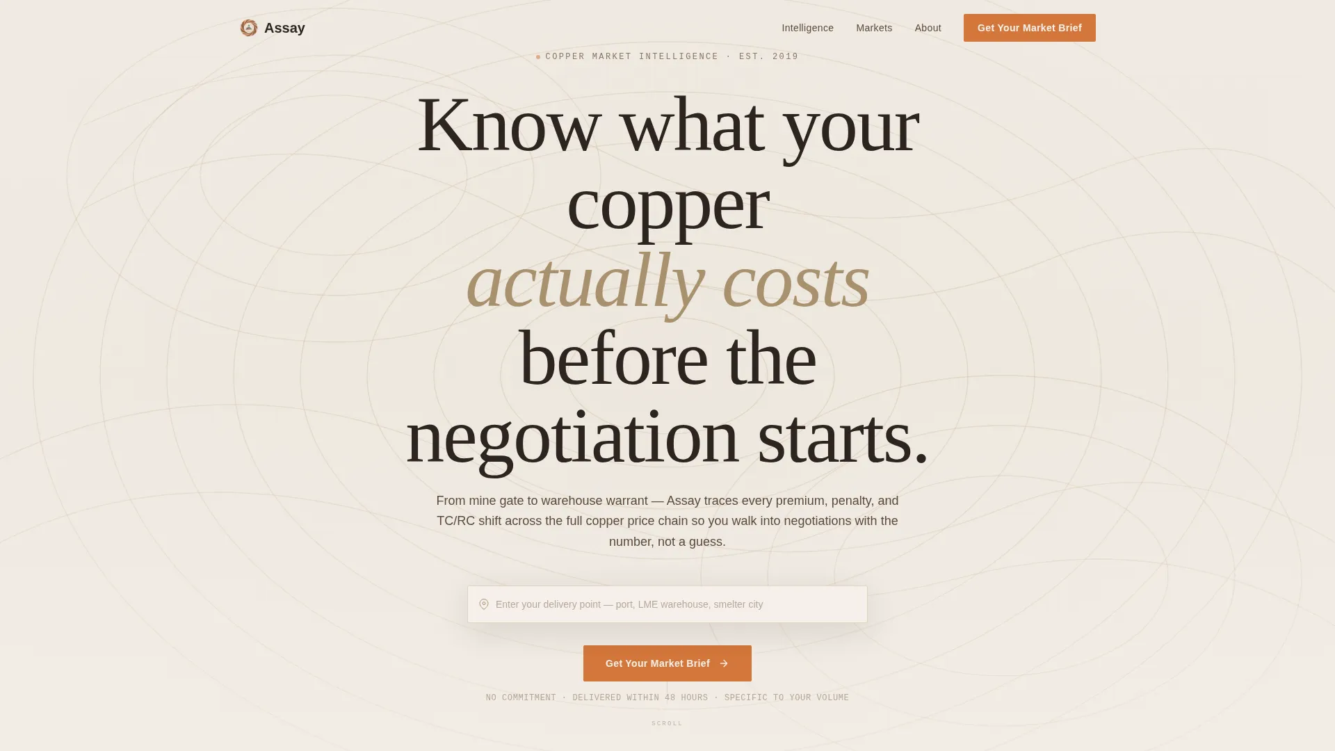 Copper Consultancy Landing Page Template
