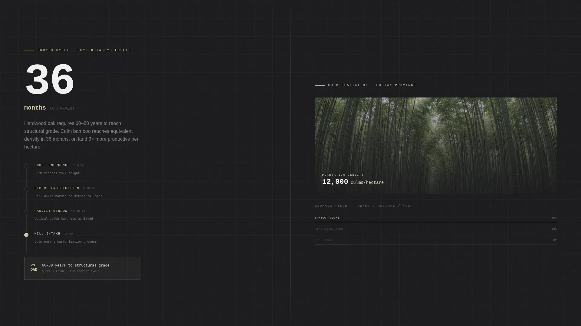 Wood & Furniture Manufacturing Professional Website Template