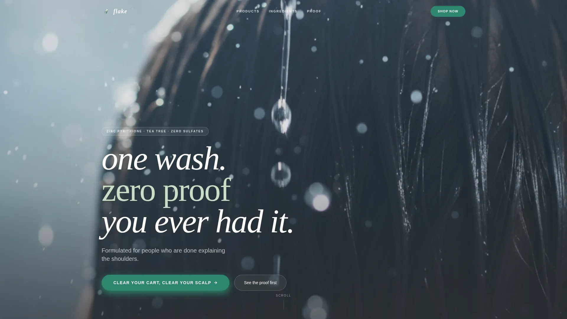 Hair Care Brand & Product Professional Website Template