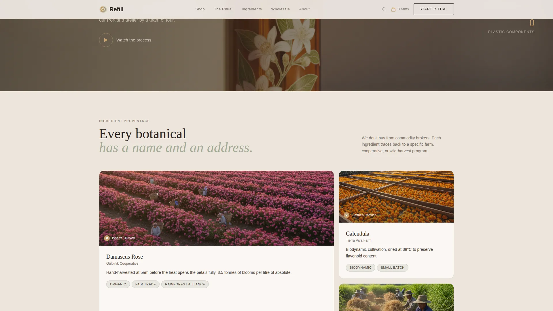Organic & Natural Beauty Brand Professional Website Template