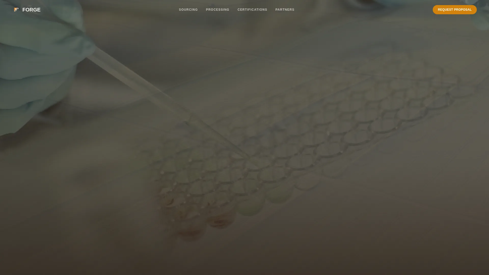 Frozen Food Processing B2B Landing Page Template
