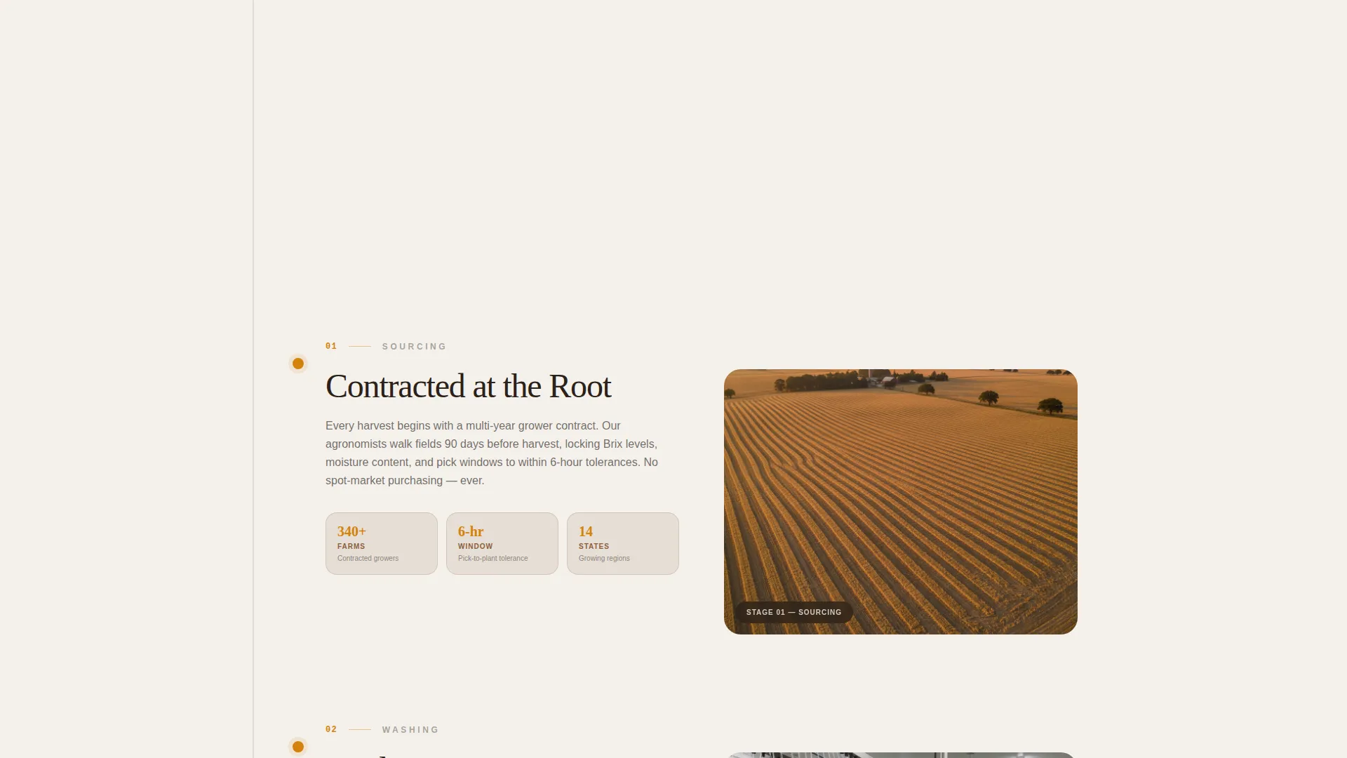 Frozen Food Processing B2B Landing Page Template