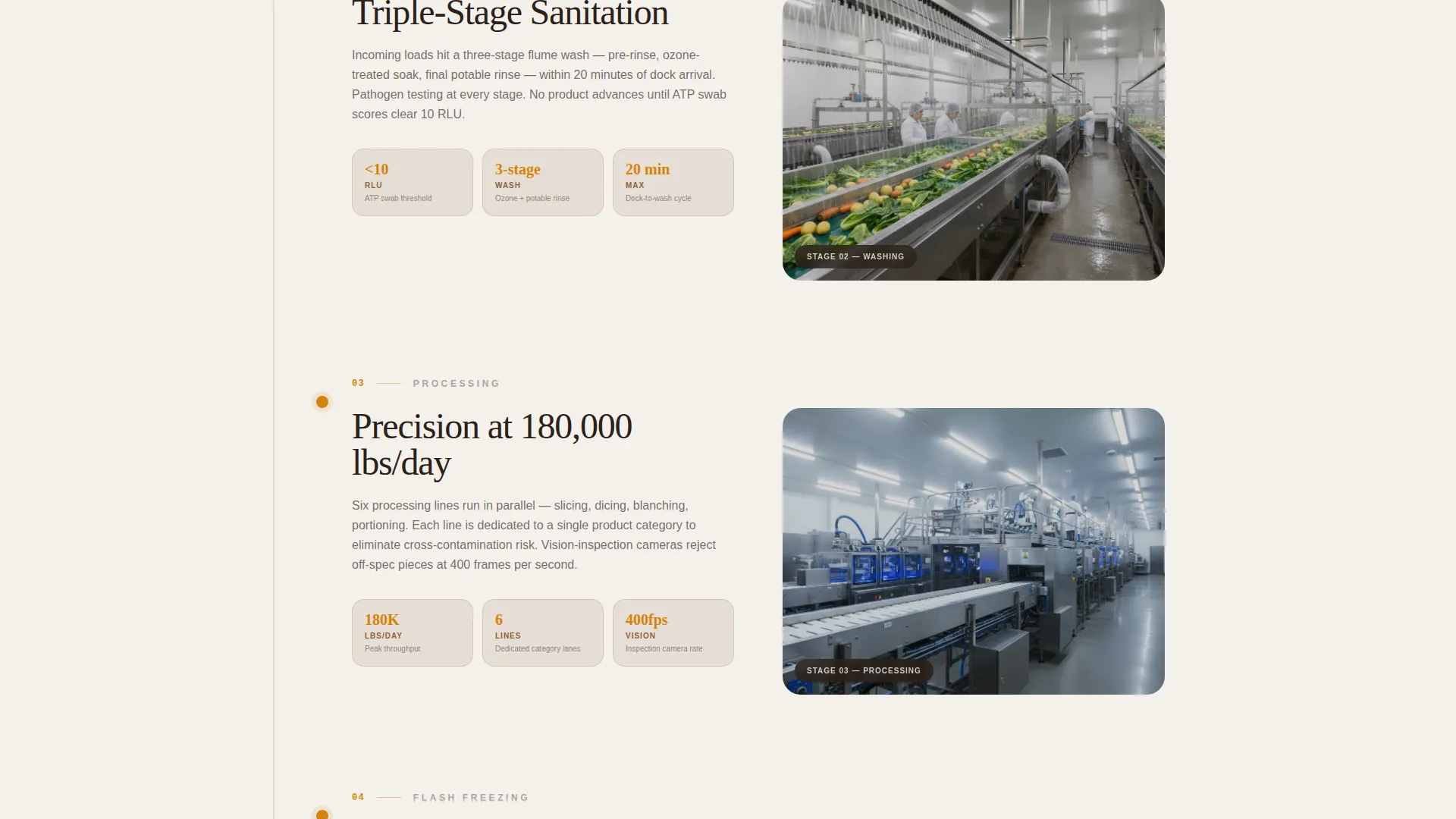 Frozen Food Processing B2B Landing Page Template