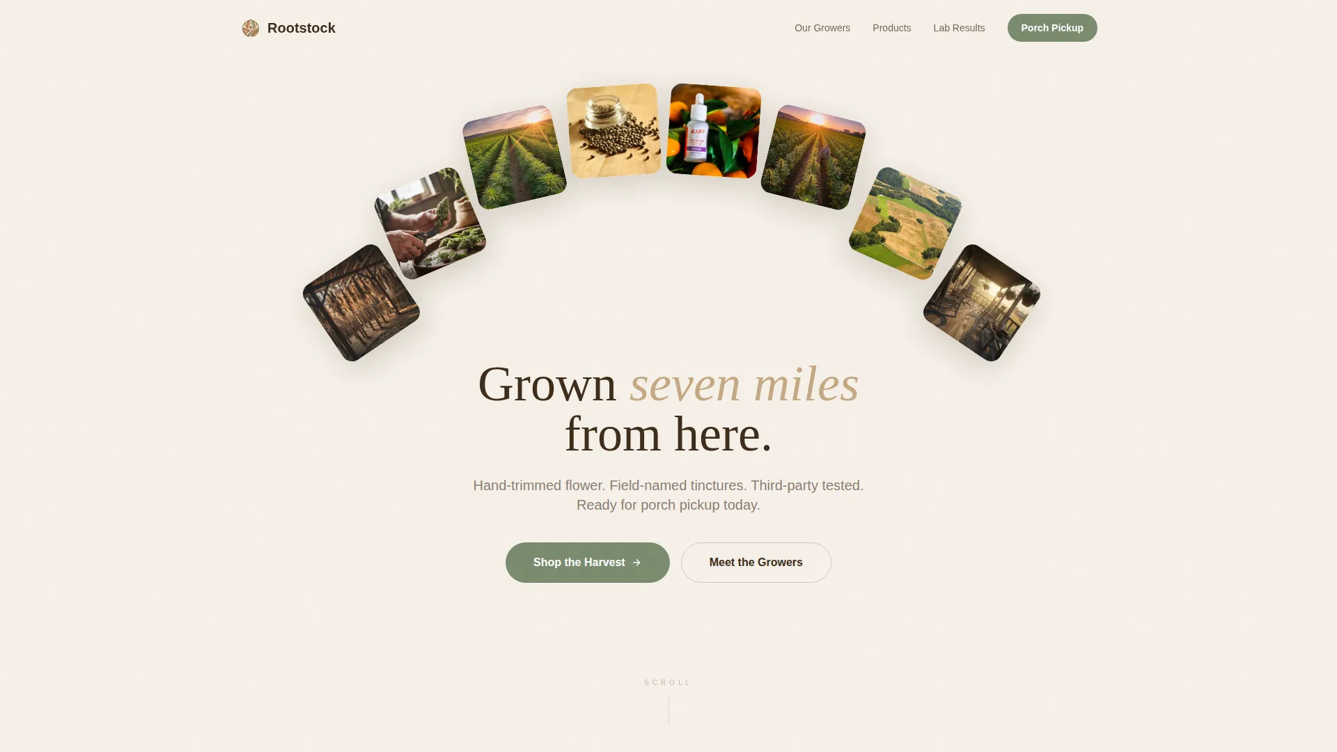 Hemp Product Landing Page Template