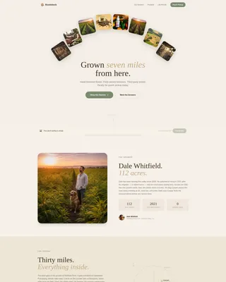 Hemp Product Landing Page Template