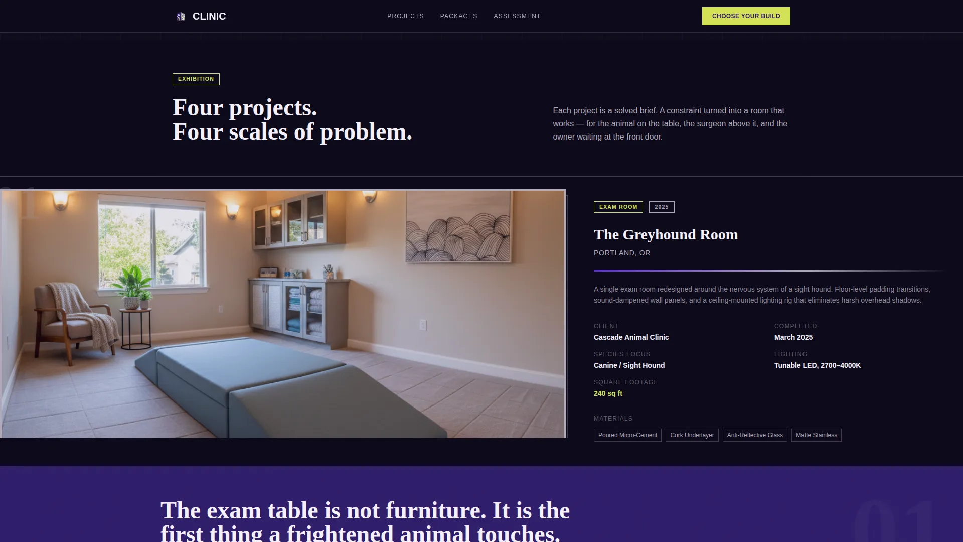 Healthcare & Hospital Design Pricing Website Template