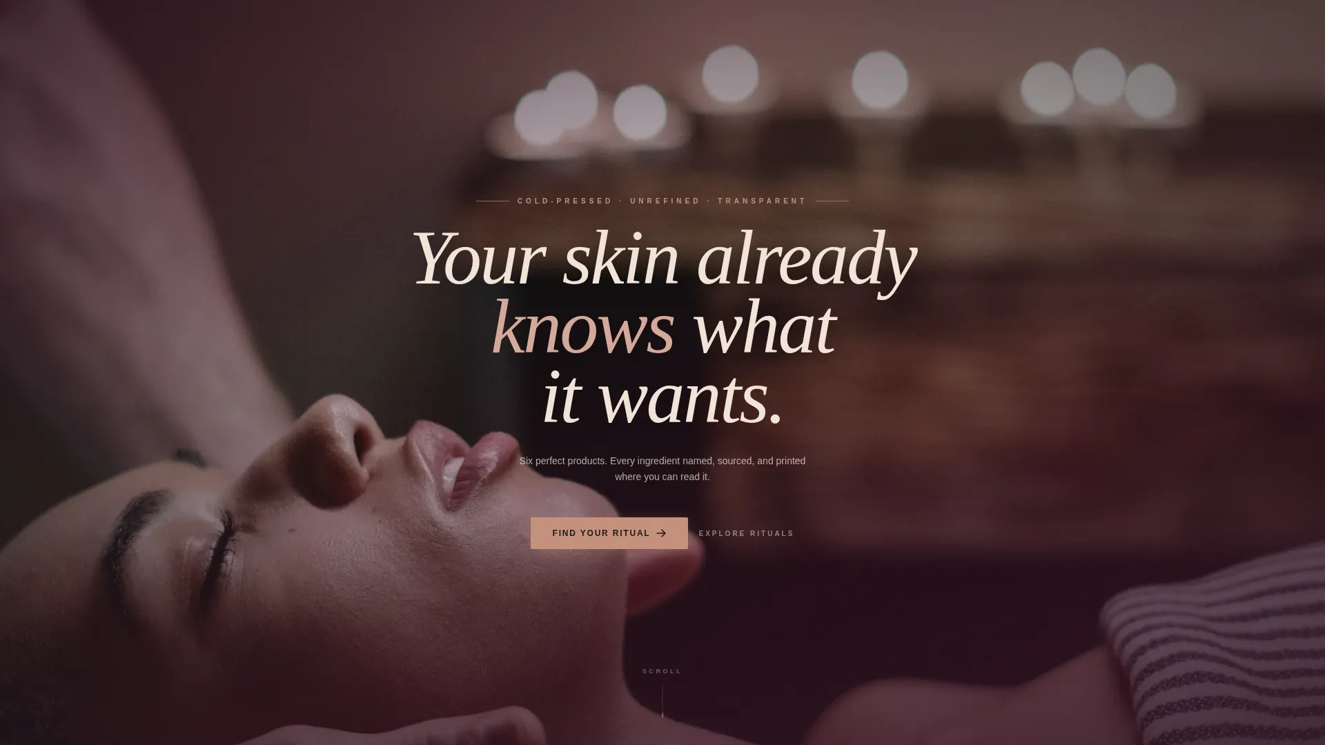 Makeup Artist & MUA Blog Website Template