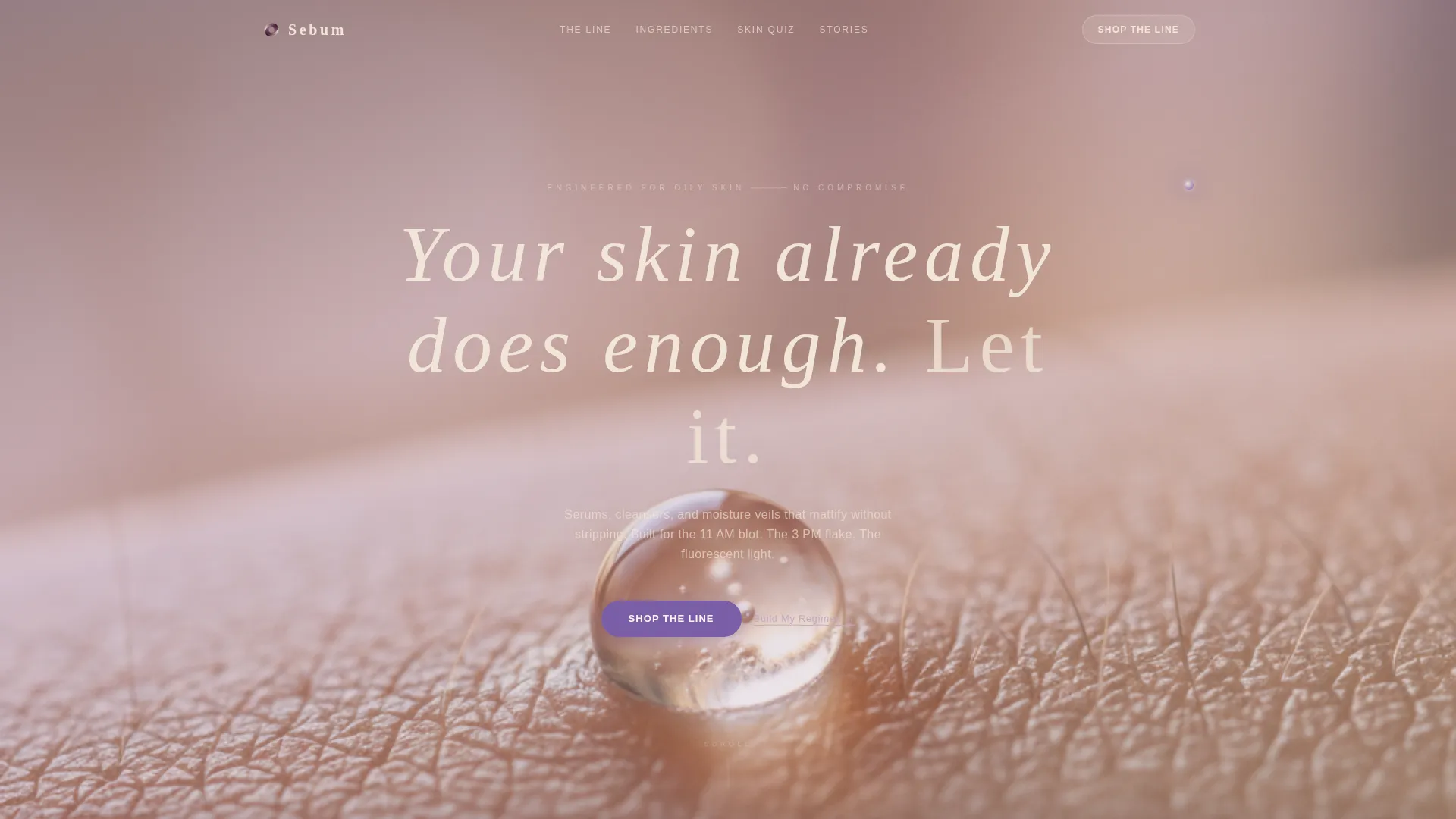 Oily Skin Skincare Landing Page Template