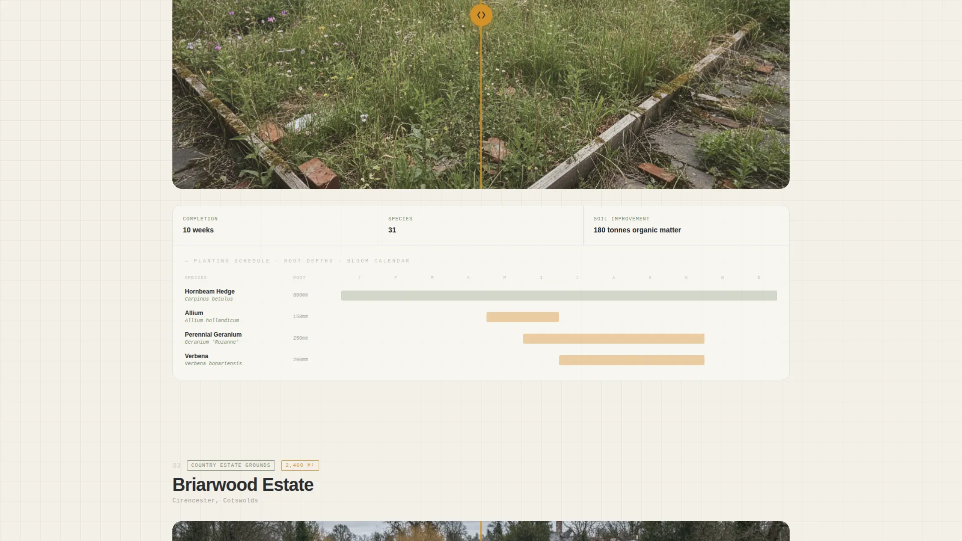 Architectural Garden Design Landing Page Template