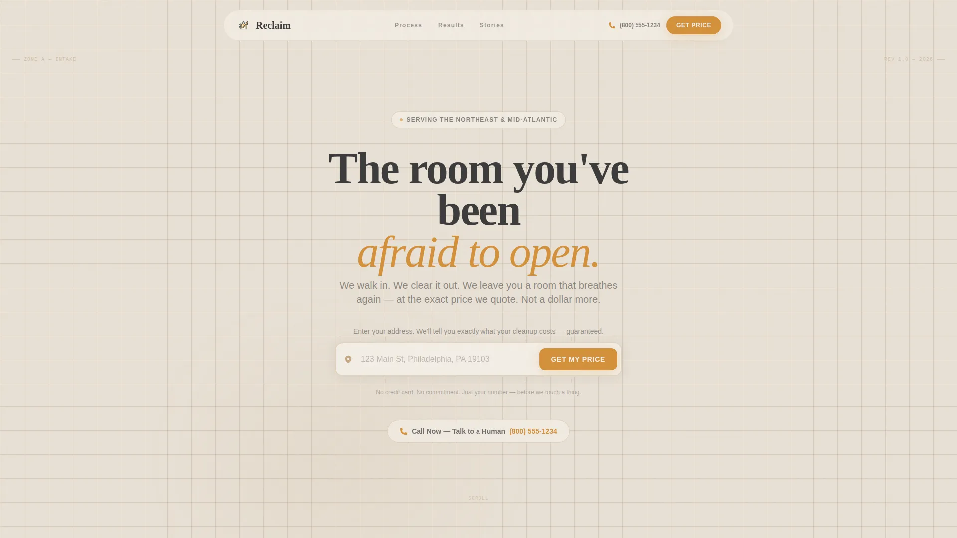 Hoarder Cleanup Landing Page Template