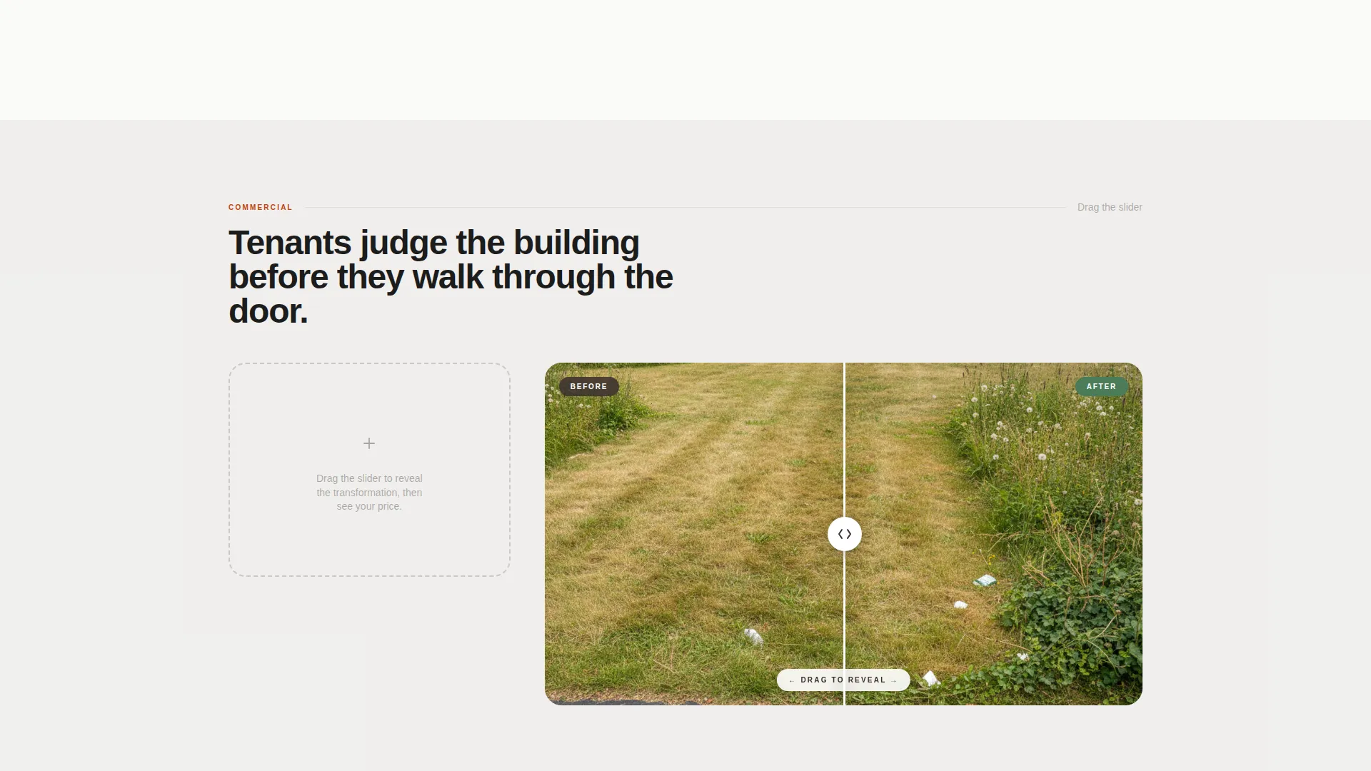 Expert Lawn Care Landing Page Template