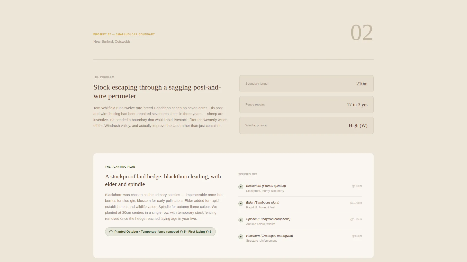Living Fence & Hedge Installation Landing Page