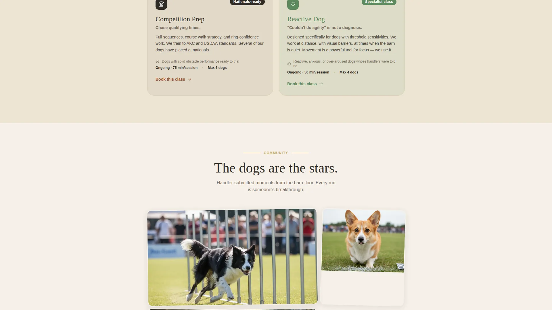 Pet Training & Behavior Appointment Booking Website Template