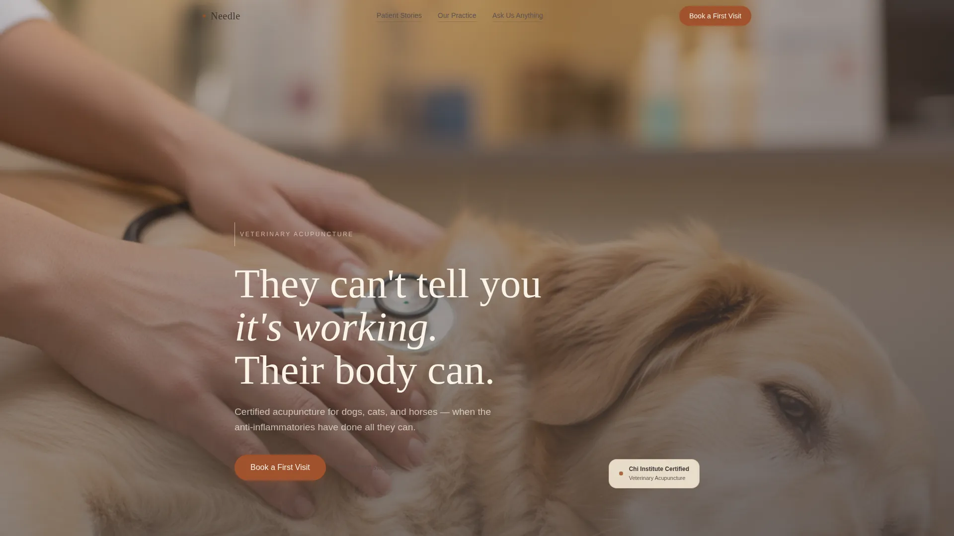 Acupuncture Landing Page Template | Parchment & Rust