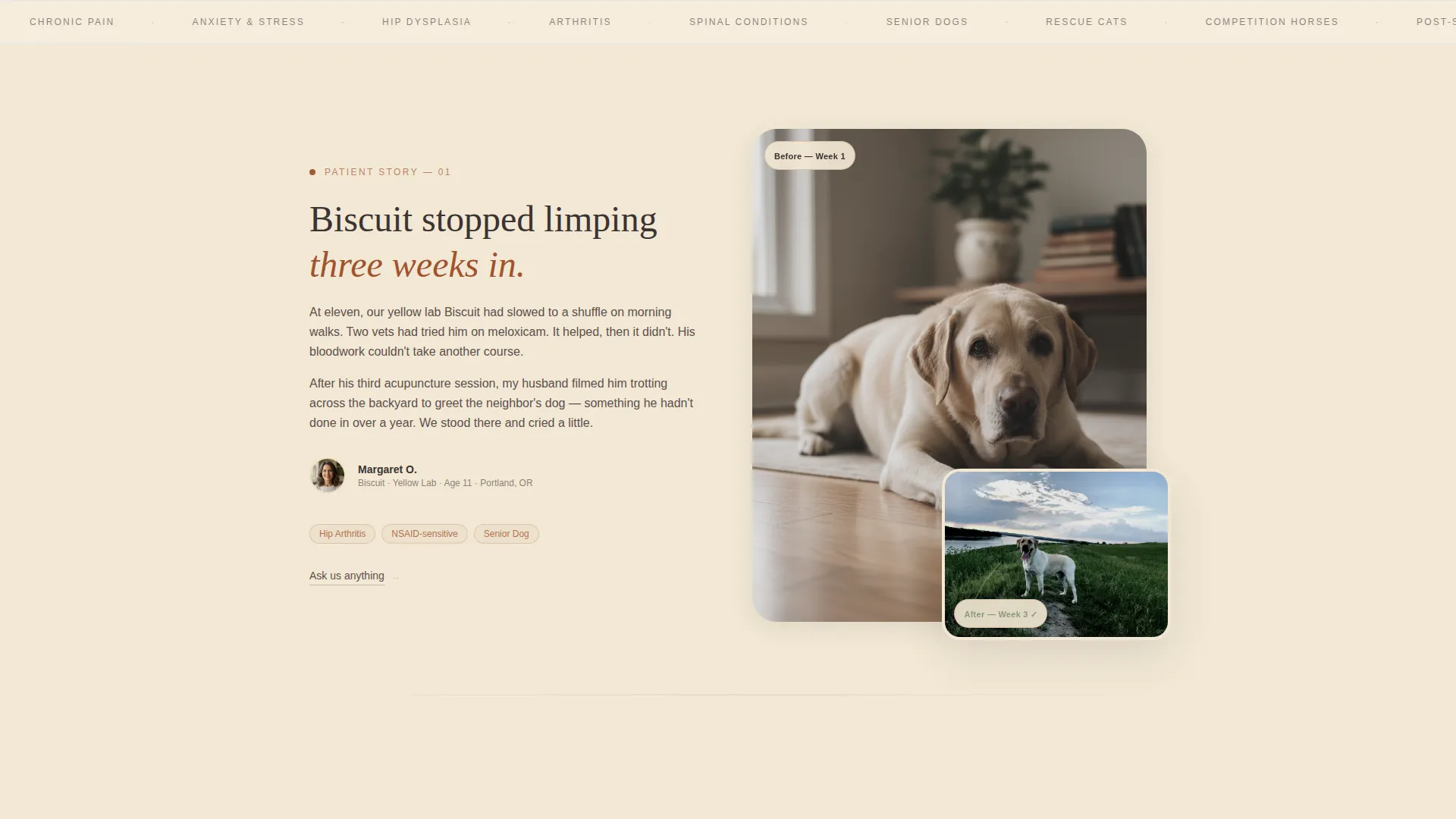 Acupuncture Landing Page Template | Parchment & Rust