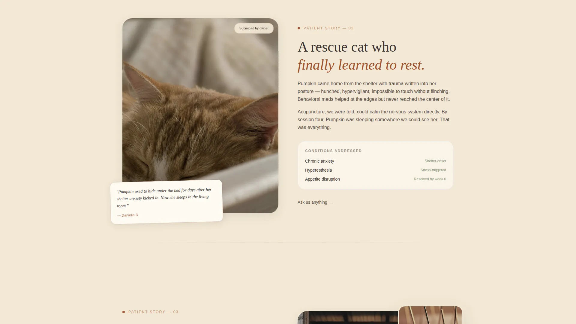 Acupuncture Landing Page Template | Parchment & Rust