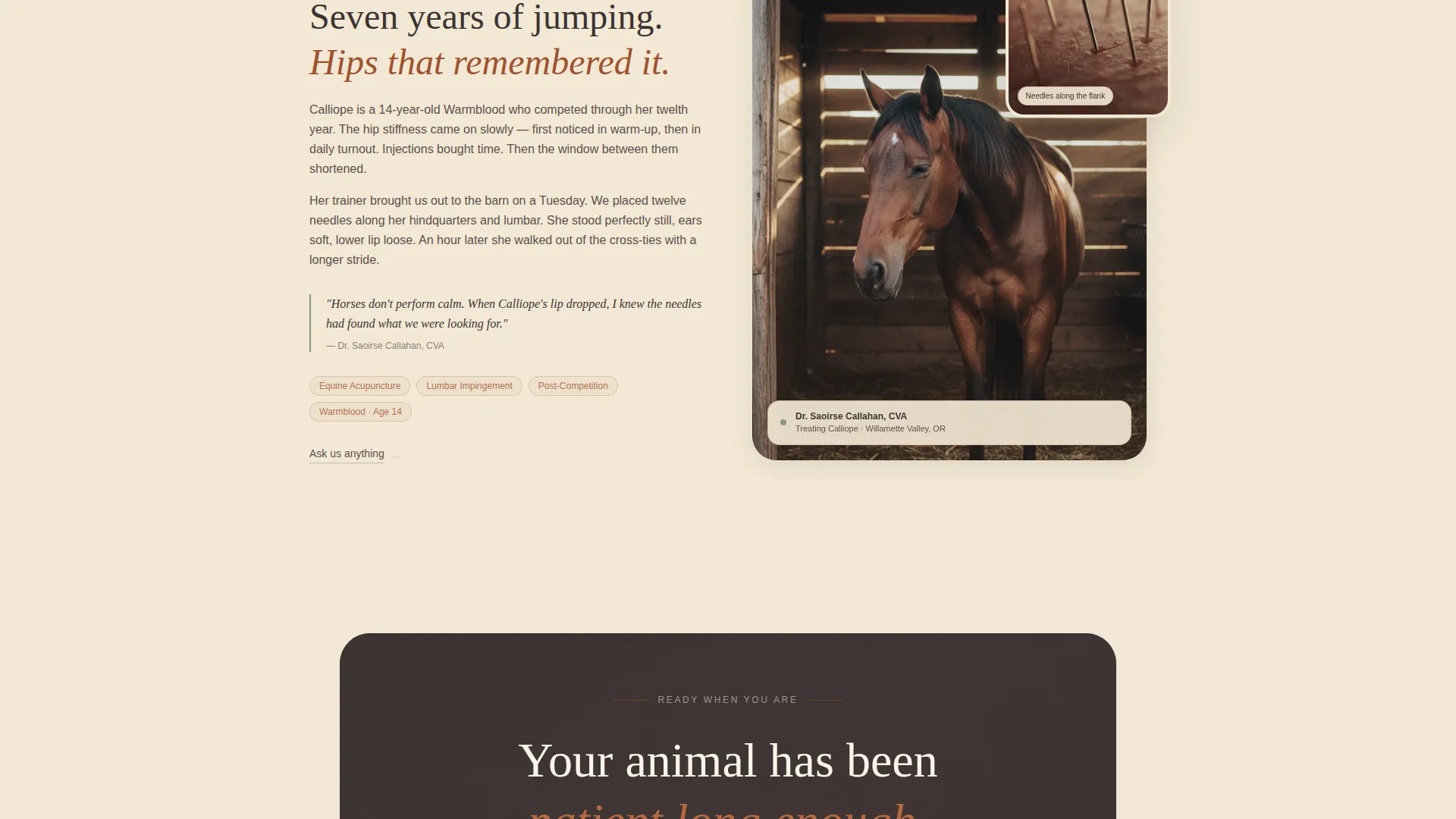 Acupuncture Landing Page Template | Parchment & Rust