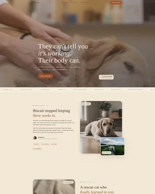 Acupuncture Landing Page Template | Parchment & Rust