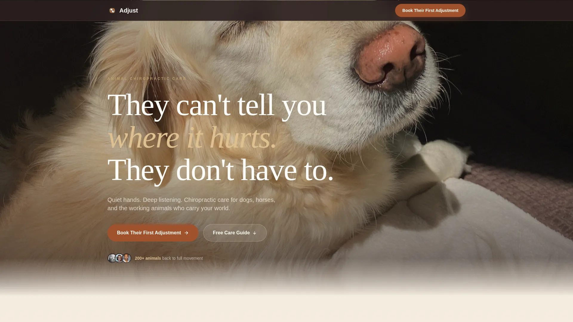 Animal Chiropractic Landing Page Template