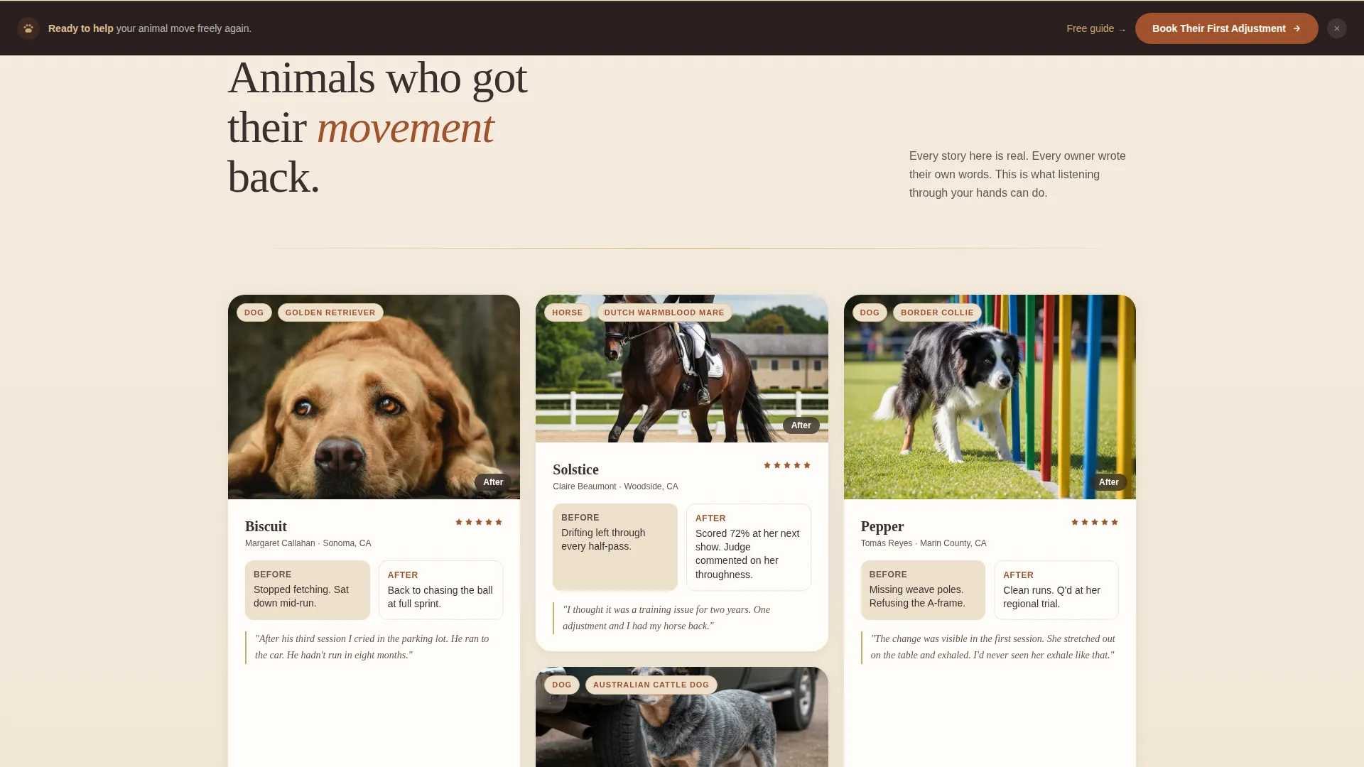 Animal Chiropractic Landing Page Template