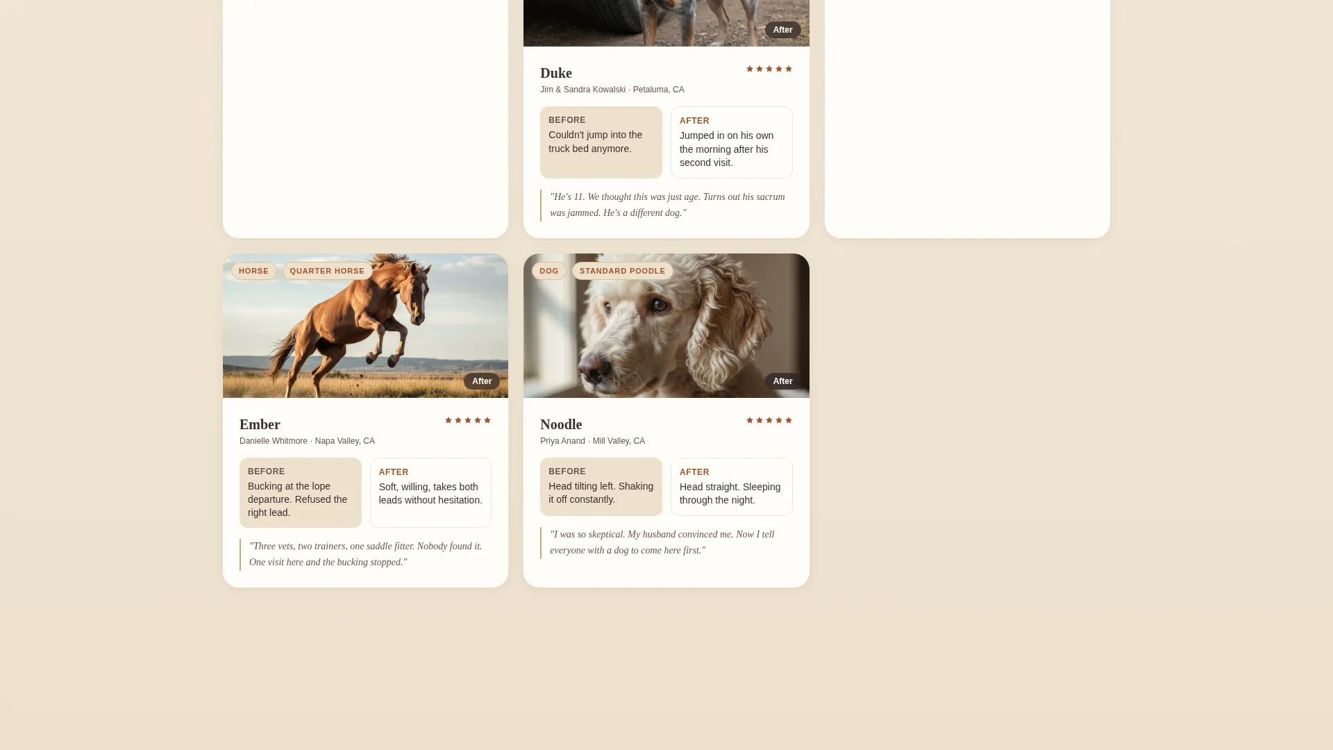 Animal Chiropractic Landing Page Template