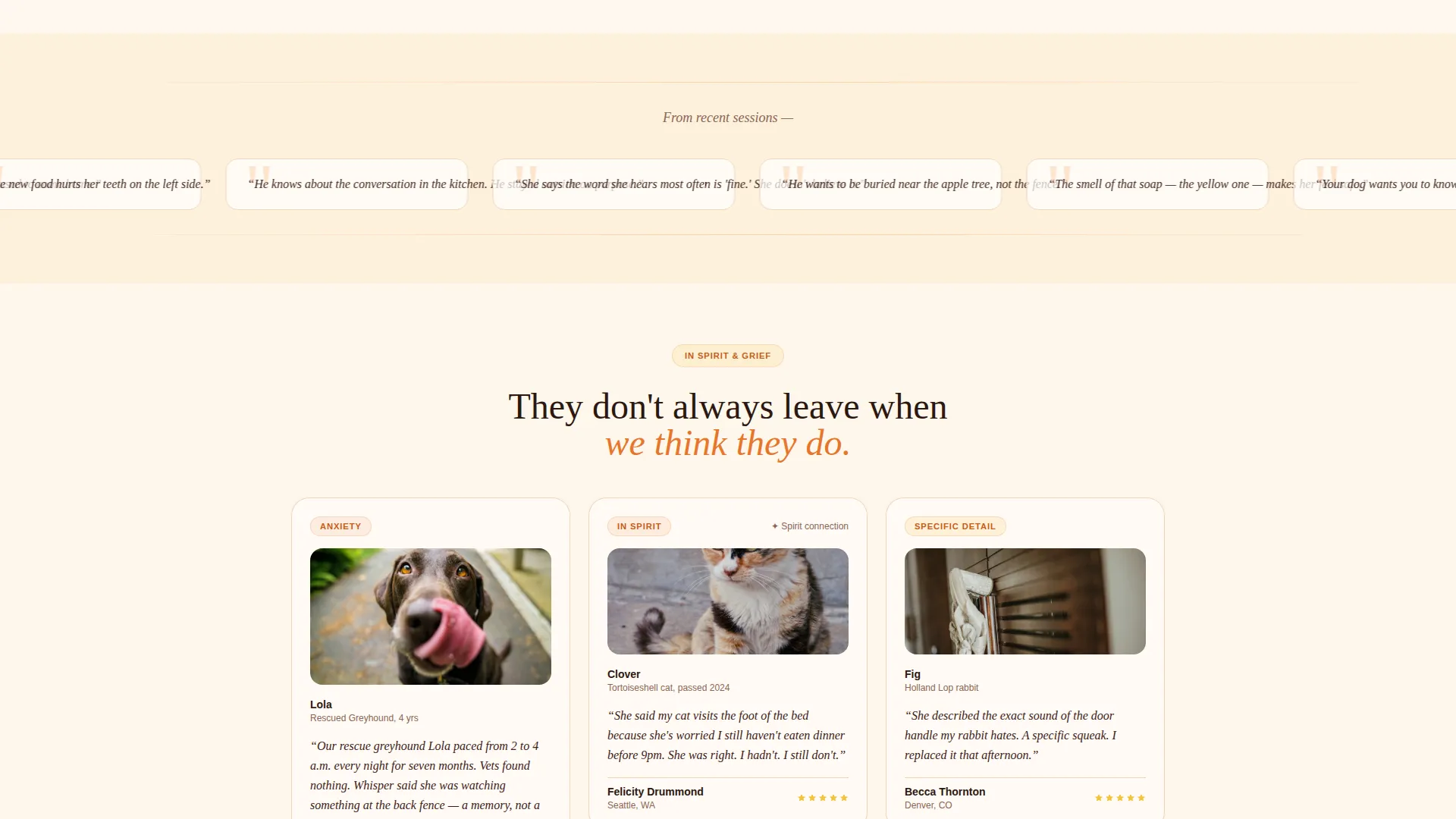 Animal Communication Landing Page Template