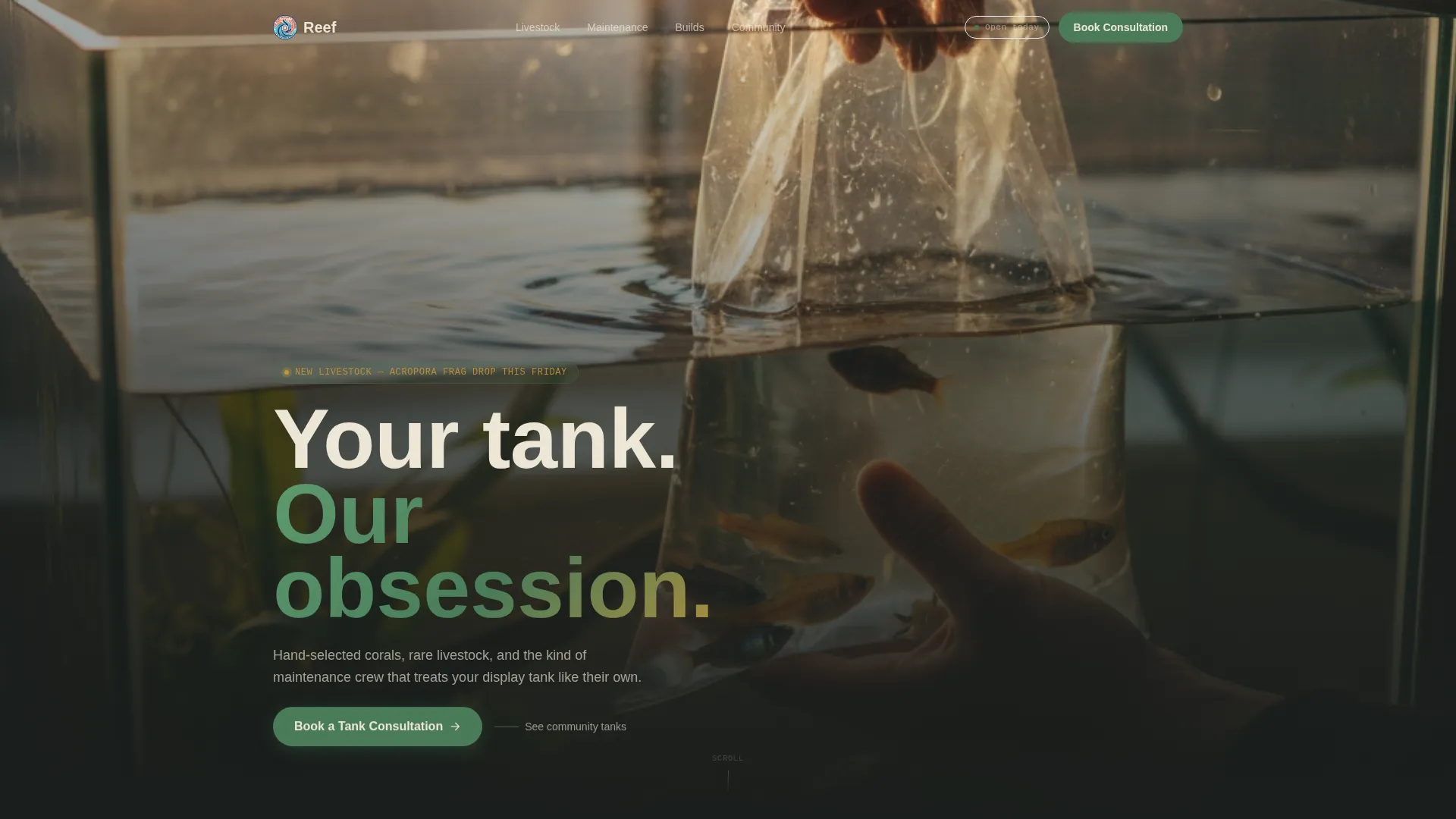 Aquarium Shop Booking Landing Page Template