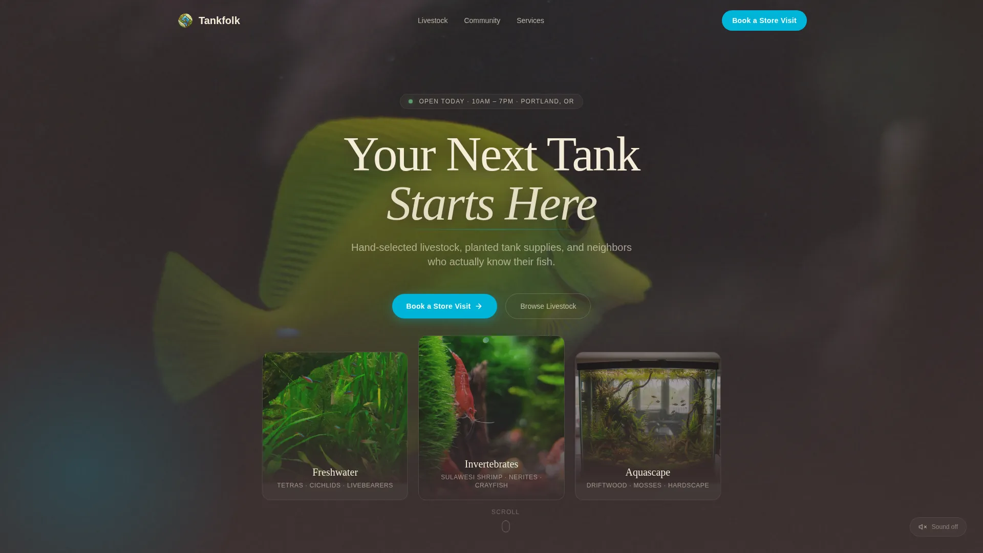 Aquarium Fish Store Landing Page Template