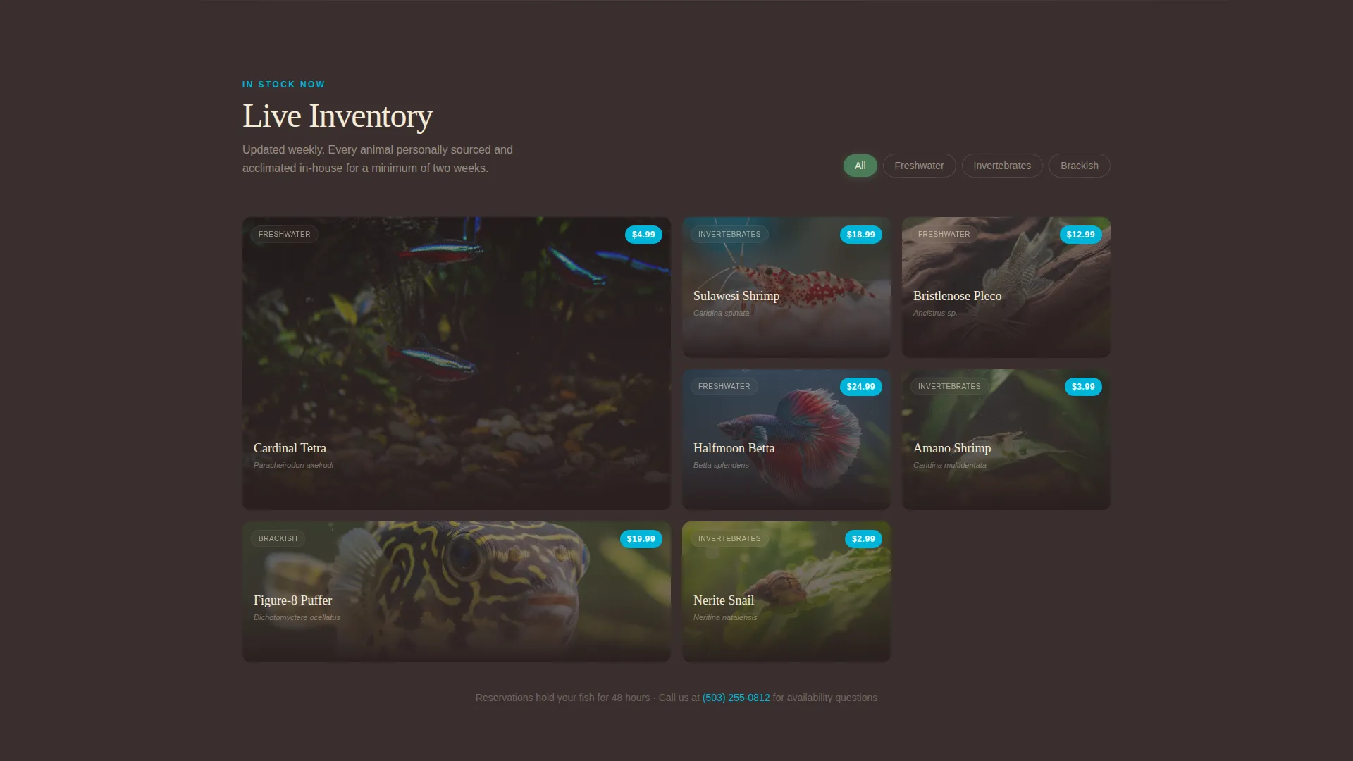 Aquarium Fish Store Landing Page Template