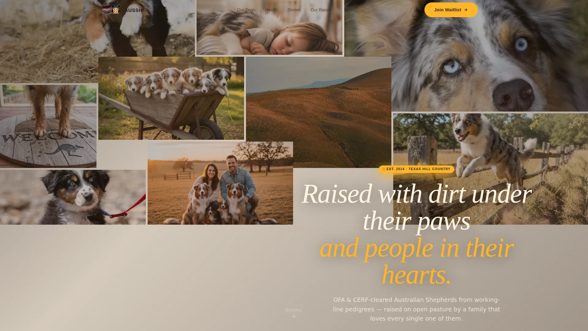 Dog Pre-Launch Website Template