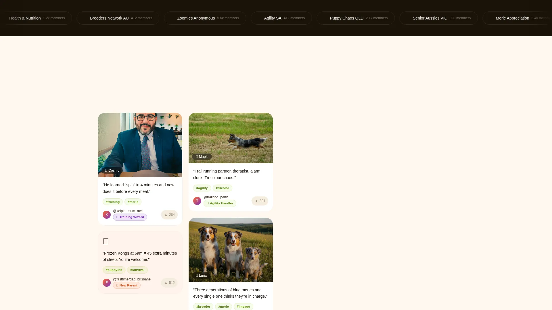 Dog Reviews Website Template