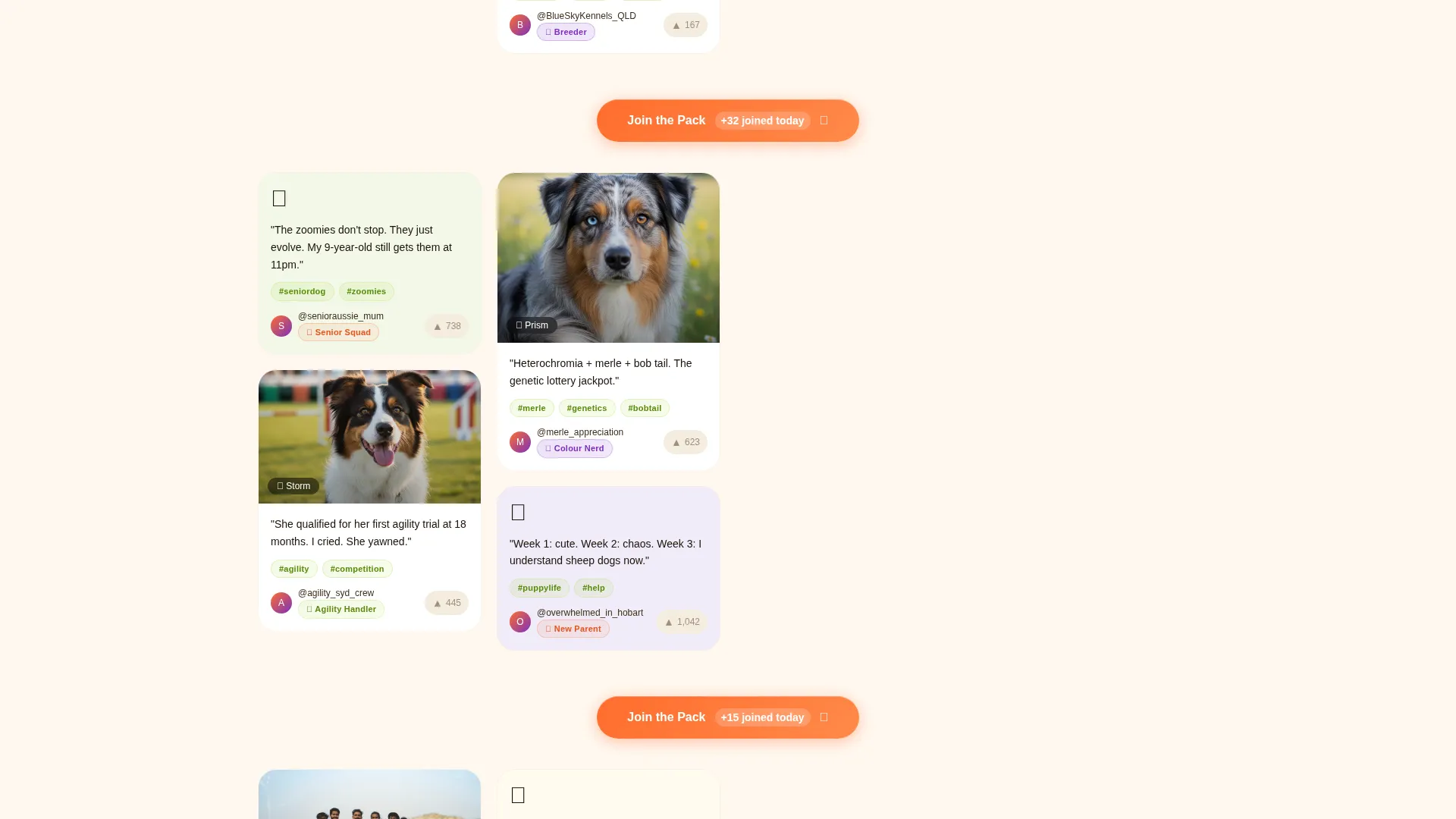 Dog Reviews Website Template