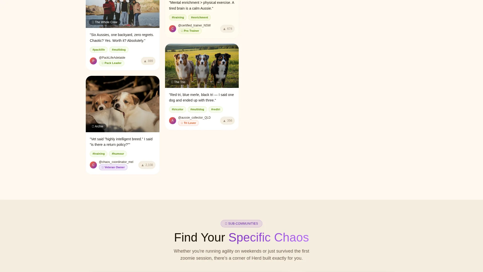 Dog Reviews Website Template