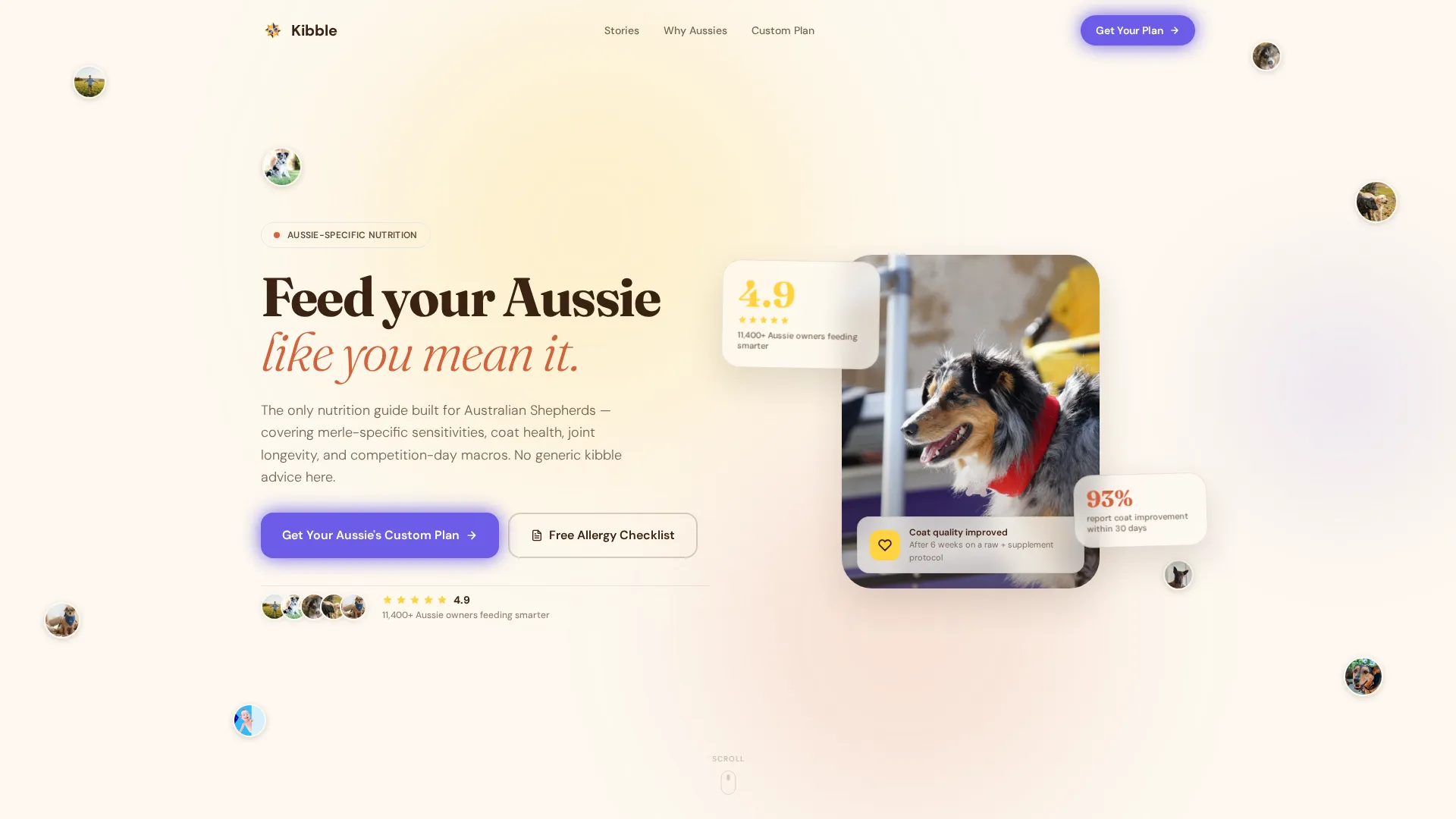 Dog Complete Reviews Website Template