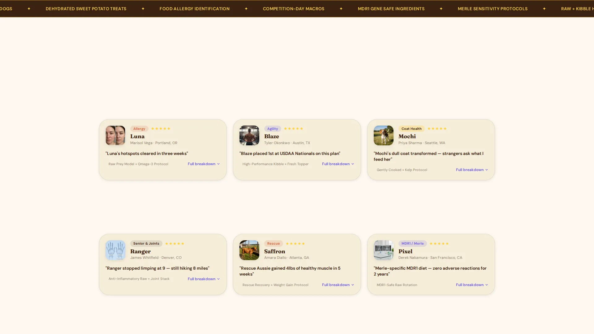 Dog Complete Reviews Website Template