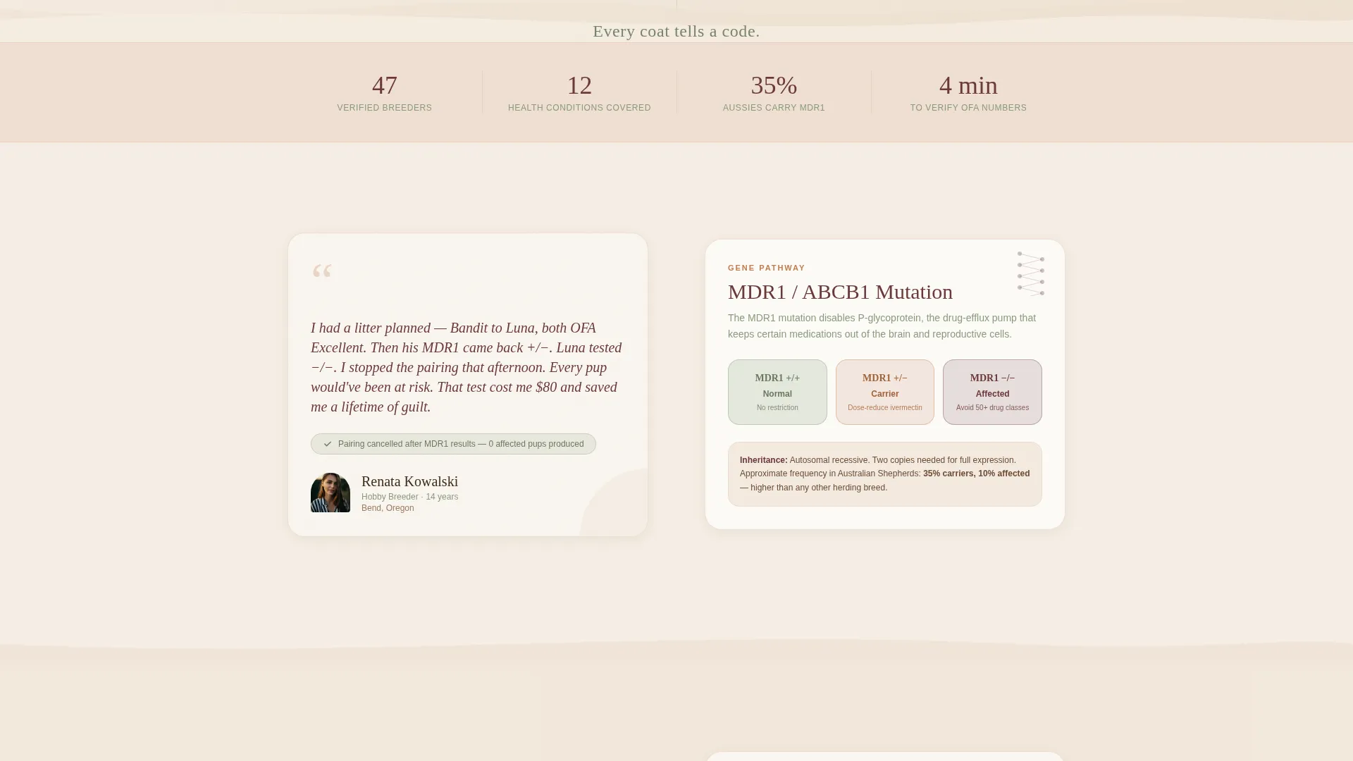 Dog Expert Reviews Website Template